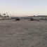  Land for rent in Torreon, Coahuila, Torreon