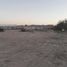  Land for rent in Torreon, Coahuila, Torreon