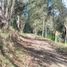  Terreno (Parcela) en venta en Quito, Pichincha, Quito, Quito