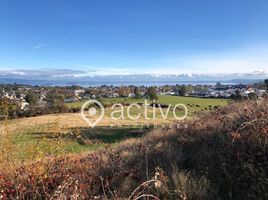  Land for sale in Los Rios, Futrono, Ranco, Los Rios