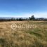  Land for sale in Los Rios, Futrono, Ranco, Los Rios