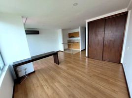 1 Bedroom Condo for rent in Antioquia, Medellin, Antioquia