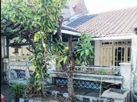 3 Schlafzimmer Haus zu verkaufen in Tambaksari, East Jawa, Tambaksari, Surabaya