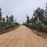  Terreno (Parcela) en venta en Chile, Santa Cruz, Colchagua, Libertador General Bernardo O'Higgins, Chile