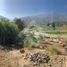  Land for sale in Chile, Santiago, Santiago, Santiago, Chile