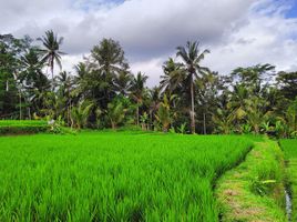  Grundstück zu verkaufen in Gianyar, Bali, Tegallalang