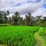  Tanah for sale in Gianyar, Bali, Tegallalang, Gianyar