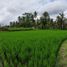  Tanah for sale in Gianyar, Bali, Tegallalang, Gianyar