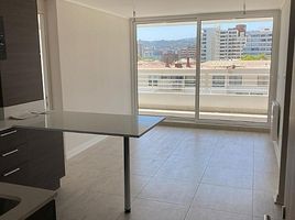 1 Bedroom Condo for rent in Chile, Vina Del Mar, Valparaiso, Valparaiso, Chile