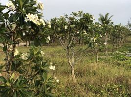  Land for sale in O Cho Dua, Hanoi, O Cho Dua, Dong Da, Hanoi