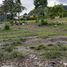  Land for sale in Neira, Caldas, Neira