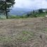  Terreno (Parcela) en venta en Neira, Caldas, Neira