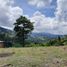  Land for sale in Neira, Caldas, Neira