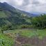  Land for sale in Neira, Caldas, Neira