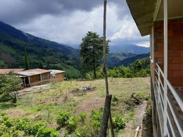  Terreno (Parcela) en venta en Neira, Caldas, Neira