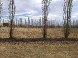 Grundstück zu verkaufen in San Rafael, Mendoza, San Rafael, Mendoza