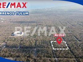  Grundstück zu verkaufen in Cozumel, Quintana Roo, Cozumel