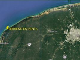  Grundstück zu verkaufen in Celestun, Yucatan, Celestun