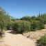 在Baja California Sur出售的 土地, La Paz, Baja California Sur