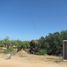 在Baja California Sur出售的 土地, La Paz, Baja California Sur