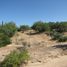 在Baja California Sur出售的 土地, La Paz, Baja California Sur