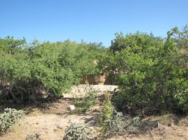 在Baja California Sur出售的 土地, La Paz, Baja California Sur