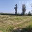  Land for sale in Chacabuco, Santiago, Colina, Chacabuco