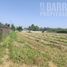  Land for sale in Chacabuco, Santiago, Colina, Chacabuco