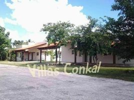  Terreno (Parcela) en venta en Yaxkukul, Yucatán, Yaxkukul
