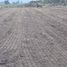  Land for sale in Chile, Quinta De Tilcoco, Cachapoal, Libertador General Bernardo Ohiggins, Chile