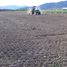  Land for sale in Chile, Quinta De Tilcoco, Cachapoal, Libertador General Bernardo Ohiggins, Chile