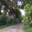  Land for sale in Isla De Maipo, Santiago, Isla De Maipo, Talagante
