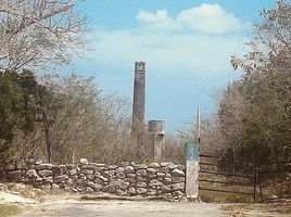 在Mococha, Yucatan出售的 土地, Mococha