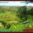  Land for sale in Penebel, Tabanan, Penebel