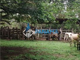 Studio Villa zu verkaufen in San Lorenzo, Chiriqui, Horconcitos