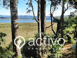  Land for sale in Mariquina, Valdivia, Mariquina