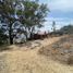  Land for rent in Morelia, Michoacan, Morelia