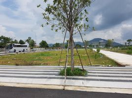  Terrain for sale in Ba Ria-Vung Tau, An Ngai, Long Dien, Ba Ria-Vung Tau