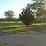  Land for sale in Canuelas, Buenos Aires, Canuelas
