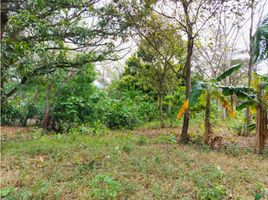  Land for sale in Cocle, Penonome, Penonome, Cocle