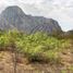  Terreno (Parcela) en venta en Santa Catarina, Nuevo León, Santa Catarina