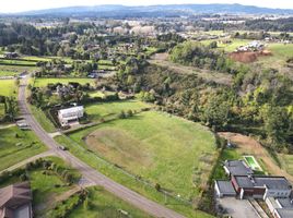  Terreno (Parcela) en venta en Chile, Nueva Imperial, Cautín, Araucanía, Chile