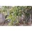  Land for sale in Chile, Santiago, Santiago, Santiago, Chile