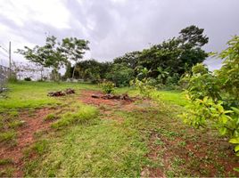  Grundstück zu verkaufen in La Chorrera, Panama Oeste, Barrio Colon