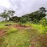  Terrain for sale in Barrio Colon, La Chorrera, Barrio Colon