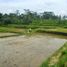  Tanah for sale in Tampak Siring, Gianyar, Tampak Siring