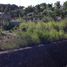 Terrain à vendre à Pueblo Viejo, Veracruz, Pueblo Viejo