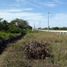 Terrain à vendre à Pueblo Viejo, Veracruz, Pueblo Viejo