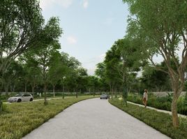  Terreno (Parcela) en venta en Valladolid, Yucatán, Valladolid