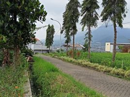  Land for sale in Bumiaji, Malang Regency, Bumiaji